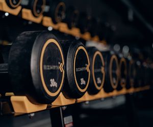 Dumbbells on a rack in a modern sports club